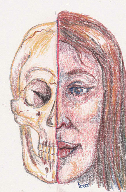 Half a Skeleton Face by Glandarius